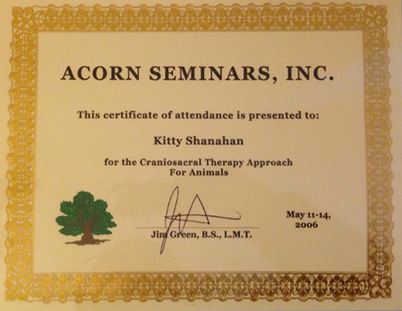 Acorn Seminars Inc. Craniosacral Therapy Approach for Animals